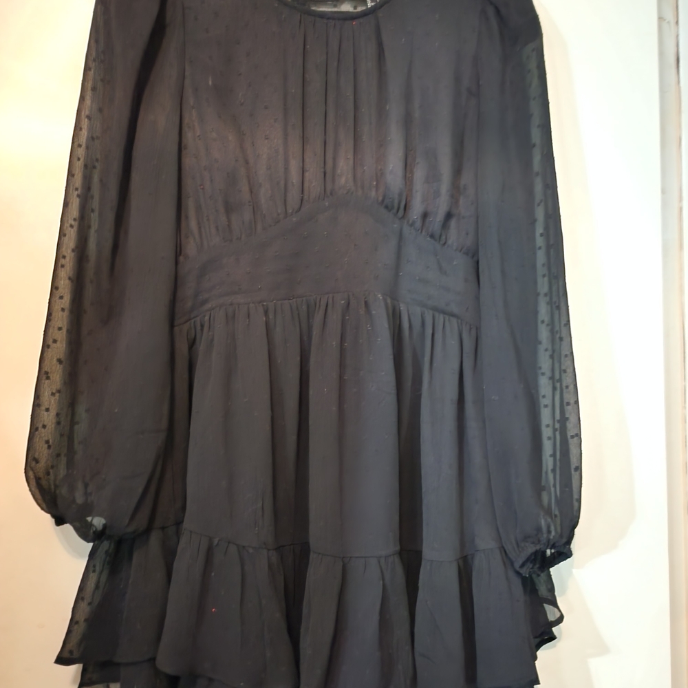 Forever 21 Black Sheer Long Sleeve Dress